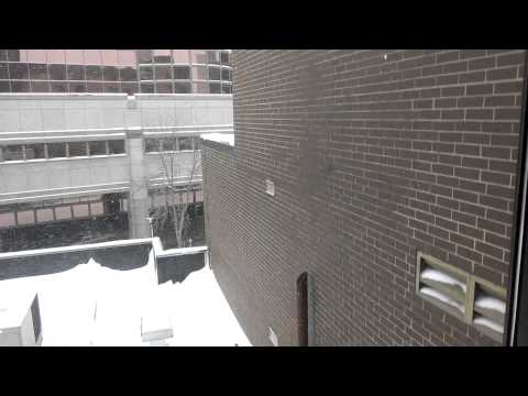 Westinghouse / Schumacher Scenic Elevator at Kahler Inn Rochester