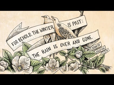 Catch for us the foxes . . . that ruin the vineyards.