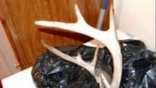 Run Pete Run-Jimmy Martin