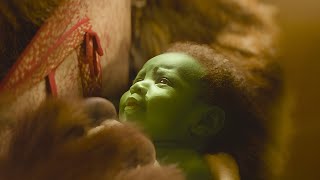 Garota nasce com a pele verde e é rejeitada por sua família, mas  se torna a maior bruxa do reino.