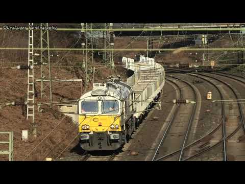 EMD Class 77 Treffen in Duisburg (V12 Power)