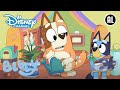 Bluey | ? Problemen Met de Buren | Disney Channel NL