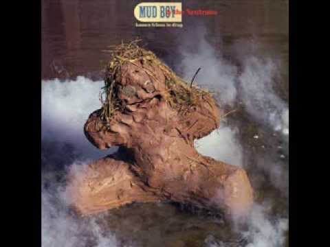 Mud Boy and the Neutrons -Can't feel at Home (This World is not my Home)