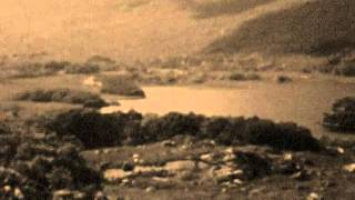 Molly: by the Keltix