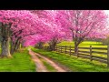 RESTORE THE NERVOUS SYSTEM Healing Music For The Mind Calm Anxiety Sleep Music