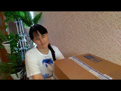 Новые старые хойи // Обзор посылки