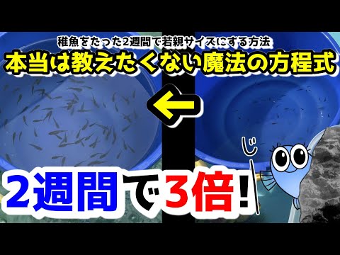 雨は微生物を移動させる