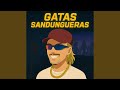 GATAS SANDUNGUERAS