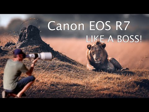 Canon R7 INTENSIV TEST in Namibia - was kann sie WIRKLICH? | Review