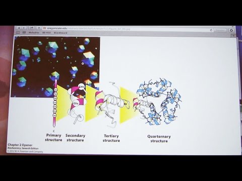 Ahern's Biochemistry #3 - Amino Acids