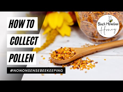 Collecting Pollen From Bees - Lyson Pollen Trap Setup, Use, and Mistakes to Avoid