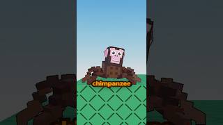 New Brainrot Redesigns in Roblox Steal A Brainrot! #roblox