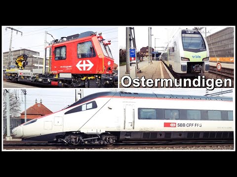 Zugsichtungen beim Bahnhof Ostermundigen, Kanton Bern, Schweiz 2021