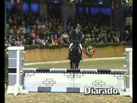 Diarado - Elite Stallions