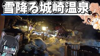 【温泉】”雪降る城崎”を感じる旅行【旅行vlog】