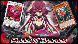 Plants And Rose Dragons - Yu-Gi-Oh! MDPRO3