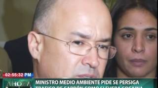 Ministro Medio Ambiente pide se persiga tráfico de carbón como si fuera cocaína