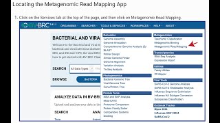 How to find information about the Metagenomic Read Mapping service