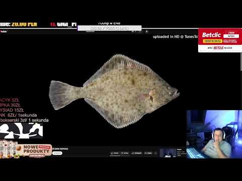 nitro reaguje na MACIAS - LISTA ŻYCZEŃ (DISS SZPAKU)