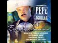 Quién Te Cantará by Pepe Aguilar