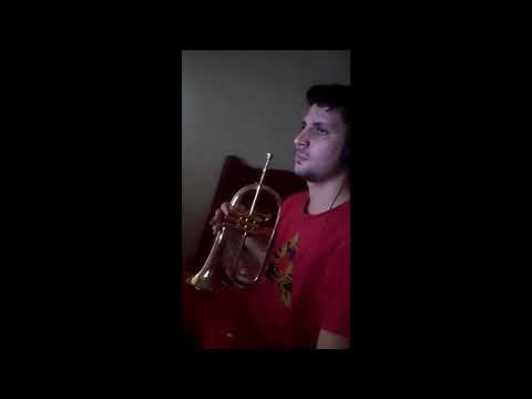 204 - Só Jesus é o amigo Verdadeiro | FLUGELHORN