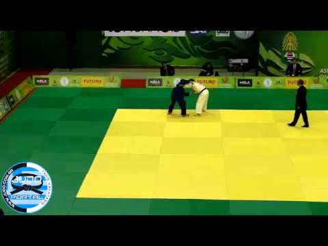 Asian Judo Championships, Bangkok 2013 Final -81kg EBI Yasuhiro (JPN) - HONG Suk Woong (KOR)