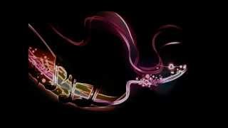 Darius &amp; Finaly - Destination (Michael Mind Remix Full) HQ