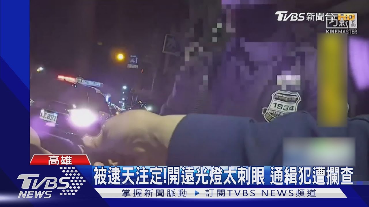 通緝男有苦衷 愛犬生9隻小黑狗有人照料才肯入監