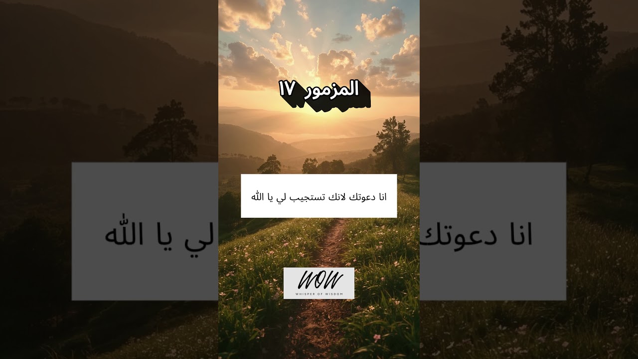 فيديو تفسير الكتاب المقدس | الكتاب المقدس رفيقي