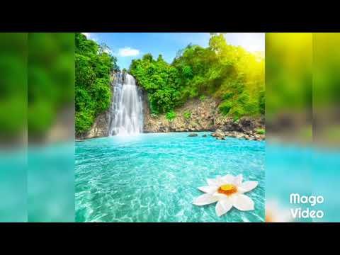 Olam. Go'zaliki. Kilep