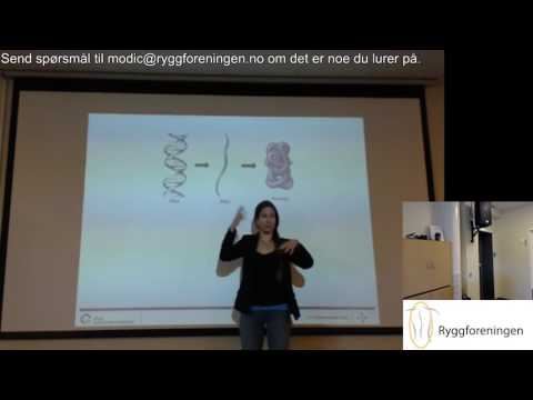 Modictreff 2017 - Dag 1: AIM Studien - Maria Dehli Vigeland; molekylærbiologi