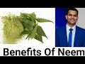 Neem- benefits, use, doses and how to use it