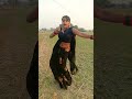 Jai Na Raja Rajai RuchiSaroj Jw6mg Bhojpuri Shorts Video