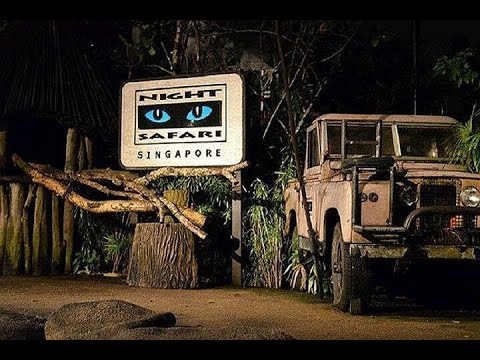 Singapore Night Safari Full Experience | Travel Vlog | Full Walkthrough
