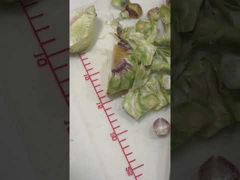 園芸 アーティチョーク、さまざまな利点