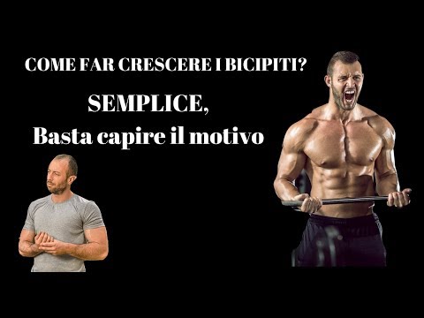 Cintura riscaldamento del torace Sostituzione dellanca prezzi Volgograd