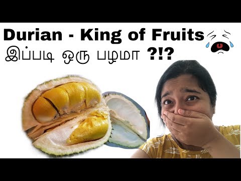 download lagu mp3 mp4 Durian Fruit Online Shopping, download lagu Durian Fruit Online Shopping gratis, unduh video klip Durian Fruit Online Shopping
