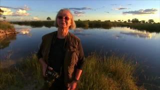 Diary of a Wildlife Photographer