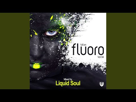 Land Of Freedom [Mix Cut] (Liquid Soul Remix)