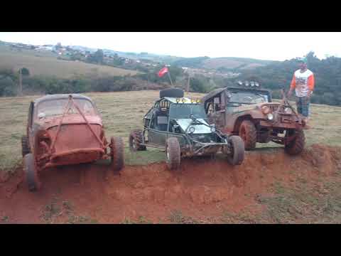 Ouro fino trilha gaiola família bom