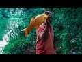 Amazing Fishing Video Hook Fishing Video Fishing With Suresh Fish Hunting In River Fishing