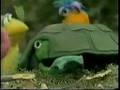 Sesame St Bob Reads The Turtle Who Wanted To Make Friends