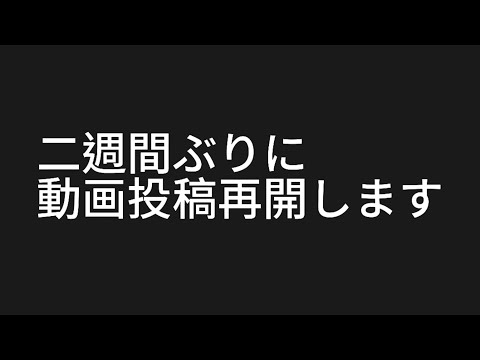 【見にくくてすいません。】動画投稿再開です。