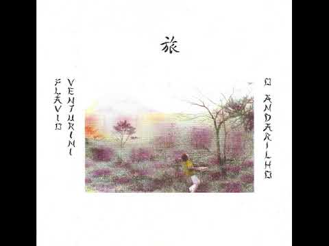 Flávio Venturini - Andarilho de Luz