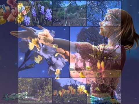 MIŠO KOVAČ I KLAPA ŠIBENIK - POSADI CVIJET