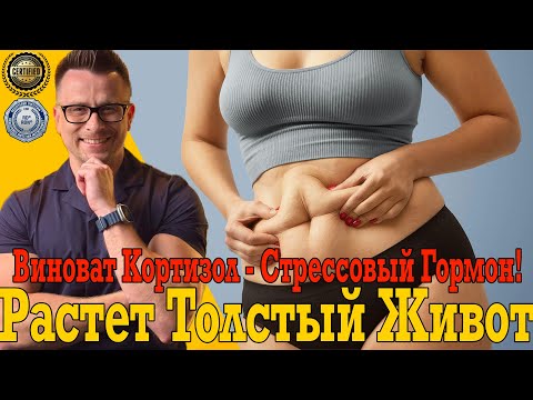 У тебя растёт толстый кортизоловый живот от стресса! У тебя растёт толстый кортизоловый живот от стресса!