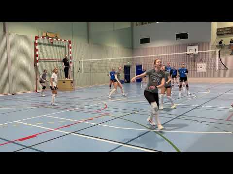 Vina D1 - Oldenborg 2