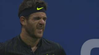 DelPotro crying vs Wawrinka