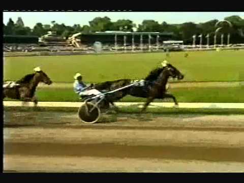 Derby "O" Nederland 2000 -Offspring Nevele