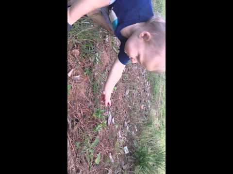 Roman smelling the flowers